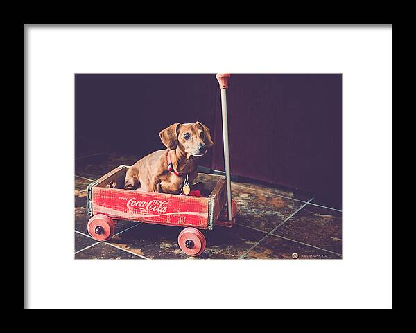 Teresa Blanton Framed Print featuring the photograph Doggy in a Wagon by Teresa Blanton