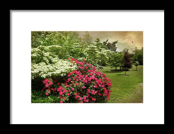 Spring Landscape Framed Print featuring the photograph Dogwood and Roses by Diana Angstadt