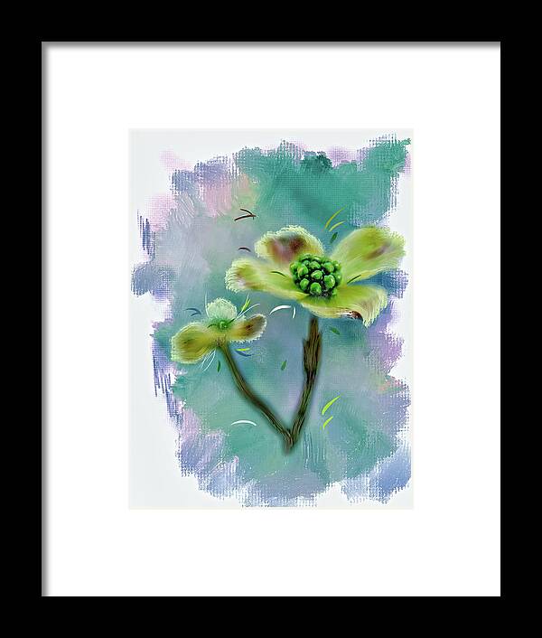 Dogwood Blossoms Framed Print featuring the photograph Dogwood Blossom by Mary Timman