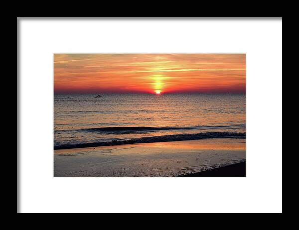 Dolphin Framed Print featuring the photograph Dolphin Jumping in the Sunrise by Nicole Lloyd