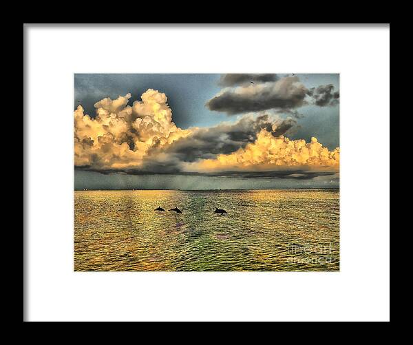 Dolphins Framed Print featuring the photograph Dolphins Play at Sanibel Island by Jeff Breiman