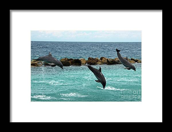 Dolphins Framed Print featuring the photograph Dolphins Showtime by Adriana Zoon