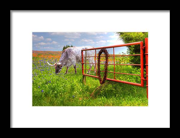 Animals Framed Print featuring the photograph Dont Fence Him In by David and Carol Kelly