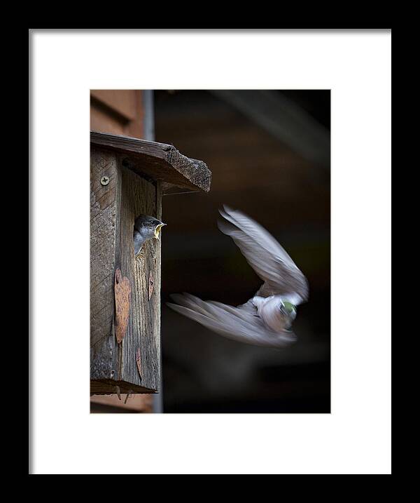 Home Framed Print featuring the photograph Dont Leave by Jean Noren