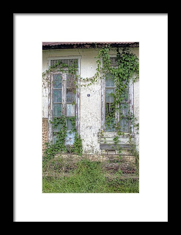 Old Doors Framed Print featuring the photograph Doors and Vines by Nadia Sanowar