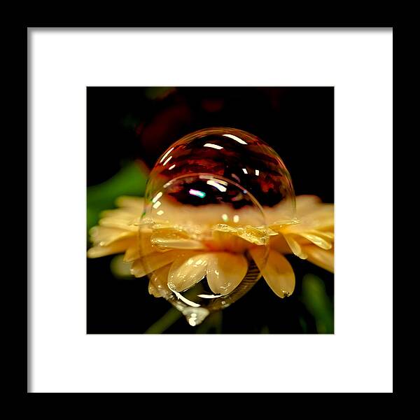 David Patterson Framed Print featuring the photograph Double Bubble Flower by David Patterson