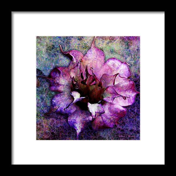 Nature Framed Print featuring the digital art Double Purple Datura by Barbara Berney