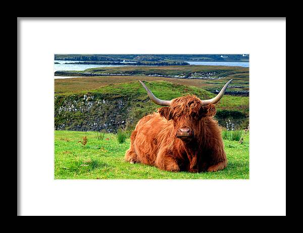 Scotland Framed Print featuring the photograph Dougal at Loch Dunvegan by John McKinlay