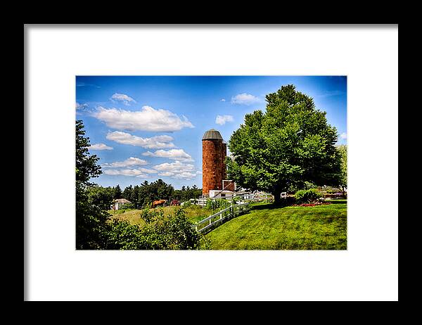 Nature Framed Print featuring the photograph Down On The Farm by Tricia Marchlik