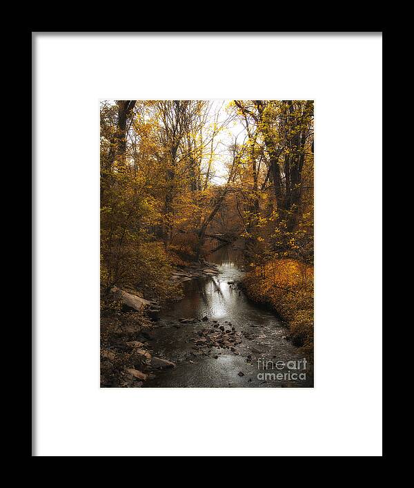 River Framed Print featuring the photograph Down River by Jessica Jenney