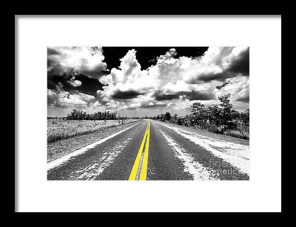 Down The Everglades Fusion Framed Print featuring the photograph Down the Everglades Fusion by John Rizzuto