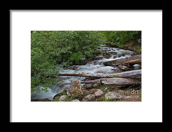 Landscape Framed Print featuring the photograph Down the Mountain by Robert Pilkington