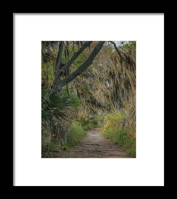 Circle B Bar Reserve Framed Print featuring the photograph Down the path by Jane Luxton
