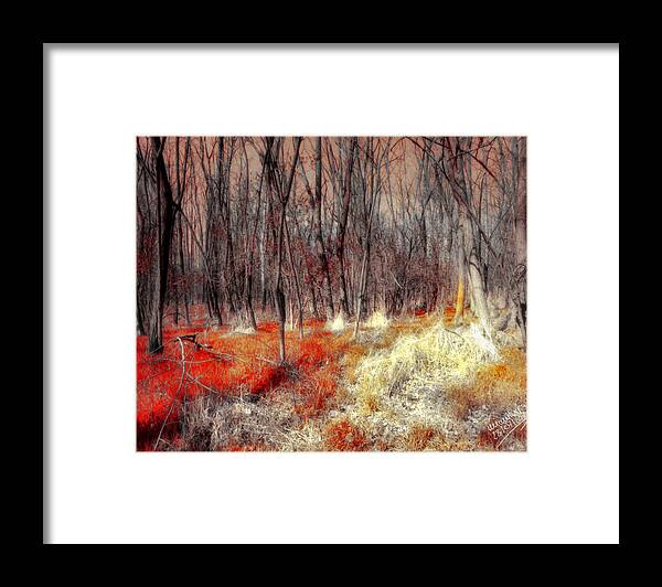 Zauberwald Framed Print featuring the digital art Drachenblut - Dragon's Blood by Mimulux Patricia No