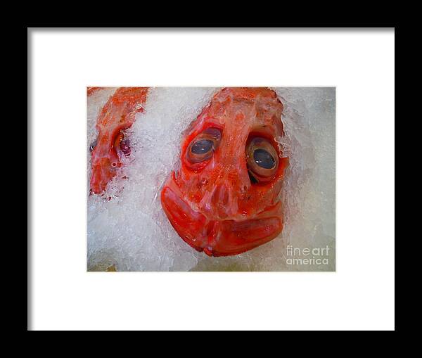 Dragonfish Framed Print featuring the photograph Dragonfish On Ice by Paddy Shaffer