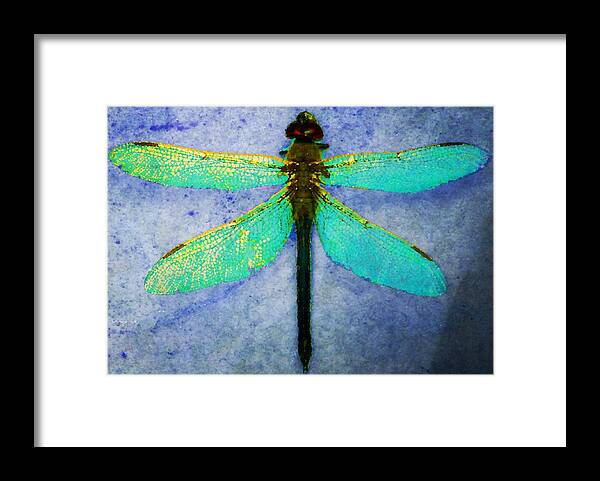 Dragonfly Framed Print featuring the photograph Dragonfly 5 by Timothy Bulone