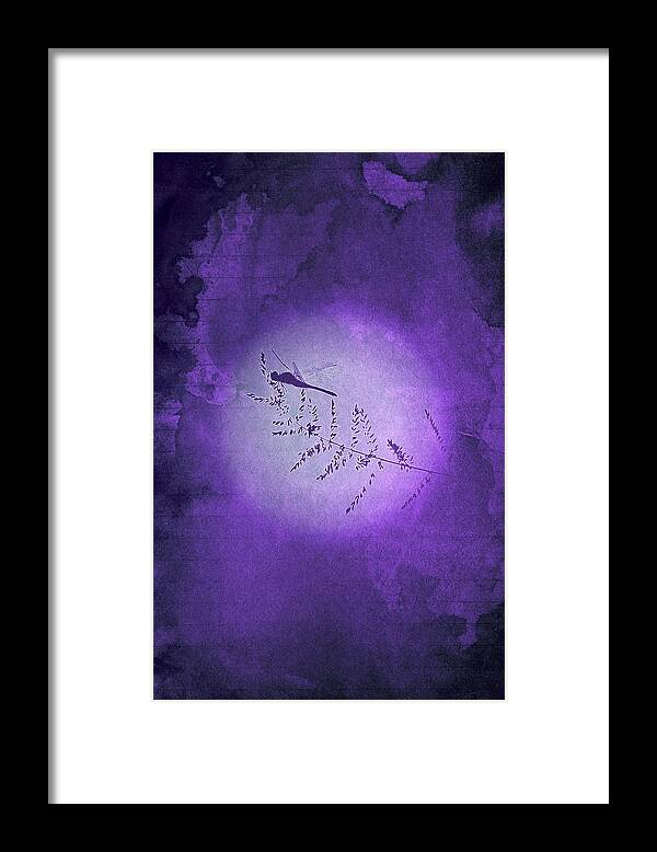 Dragon Framed Print featuring the digital art Dragonfly by Andrea Barbieri
