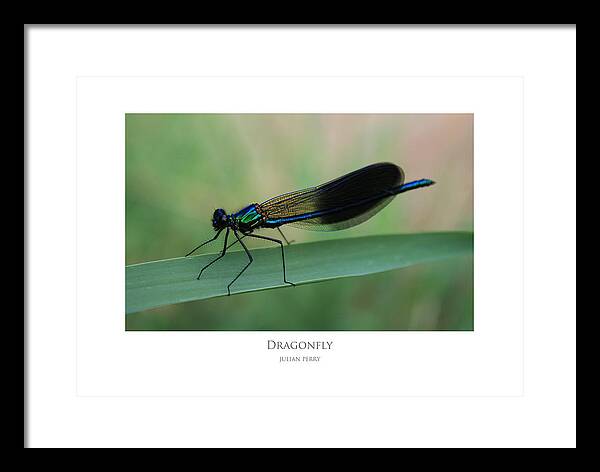 Dragonfly Framed Print featuring the digital art Dragonfly by Julian Perry