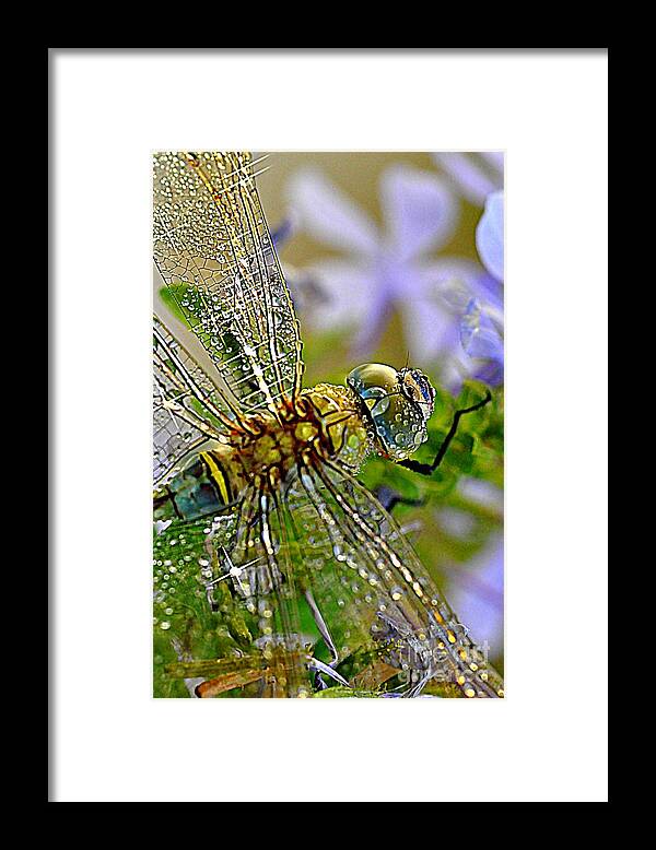 Dragonfly Framed Print featuring the photograph Dragonfly by Sylvie Leandre