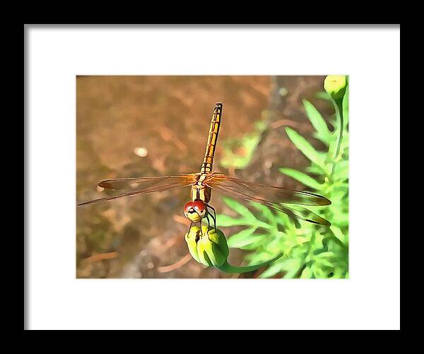 Green Framed Print featuring the painting Dragonfly by Taiche Acrylic Art