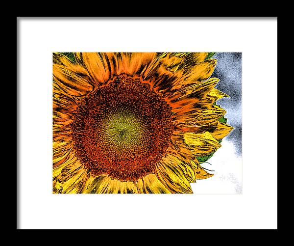 Sunflower Framed Print featuring the photograph Dramatic Sunflower by Kristin Elmquist