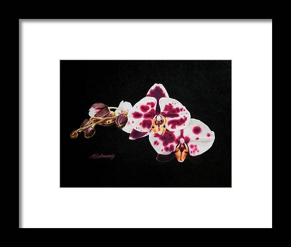 Color Pencil Framed Print featuring the drawing Drawing of Polka Dot Moths by Marna Edwards Flavell