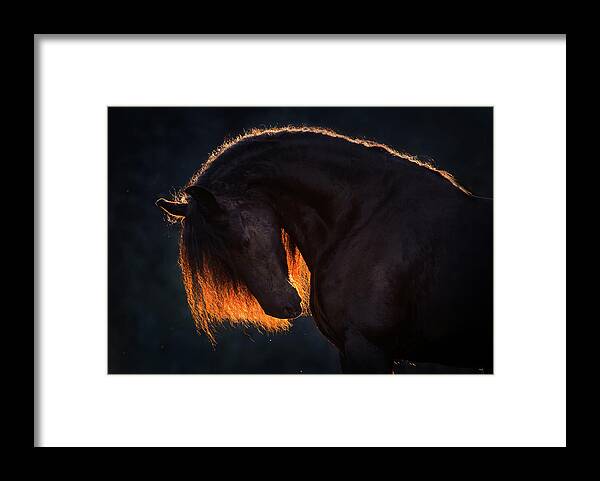 Russian Artists New Wave Framed Print featuring the photograph Drawn From the Darkness by Ekaterina Druz