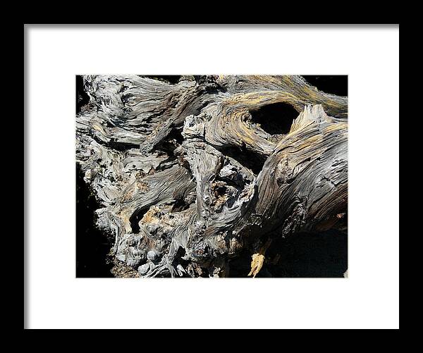 Wood Framed Print featuring the photograph Drawn Into The Wood no.8 by Stephanie H Johnson