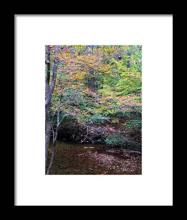 Woods Framed Print featuring the photograph Dream Woods in Georgia by Rafael Salazar