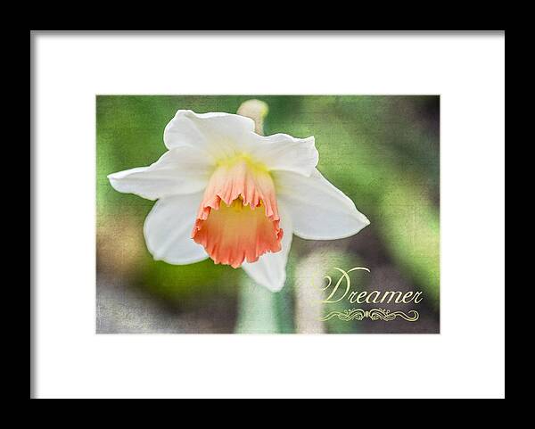 Flower Framed Print featuring the photograph Dreamer by Cathy Kovarik