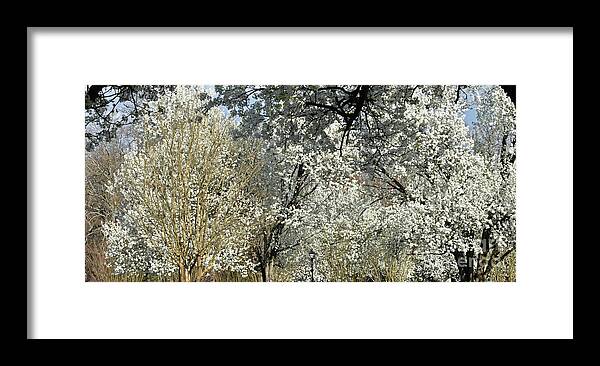Spring Framed Print featuring the photograph Dreamin' Of A White Spring No.2 by Lydia Holly