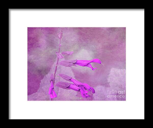 Surreal Framed Print featuring the photograph Dreaming in Pink by Elisabeth Lucas