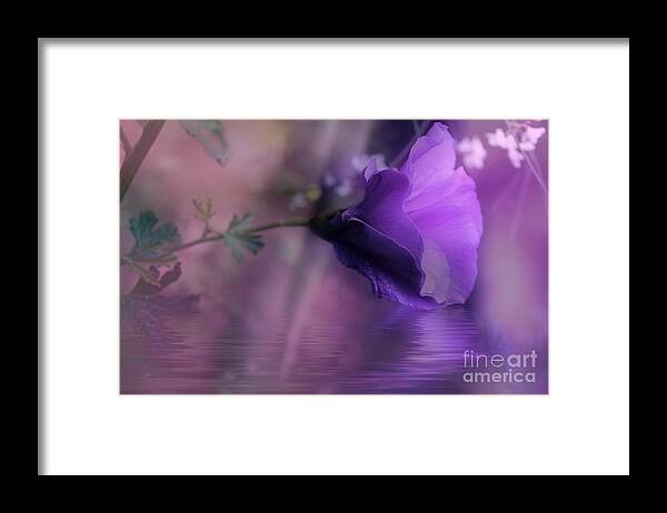Hibiscus Framed Print featuring the photograph Dreaming in Purple by Elaine Teague