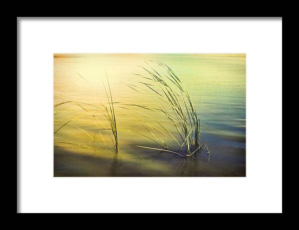 Water Framed Print featuring the photograph Dreamy Lake Shore Reflections by Ann Powell