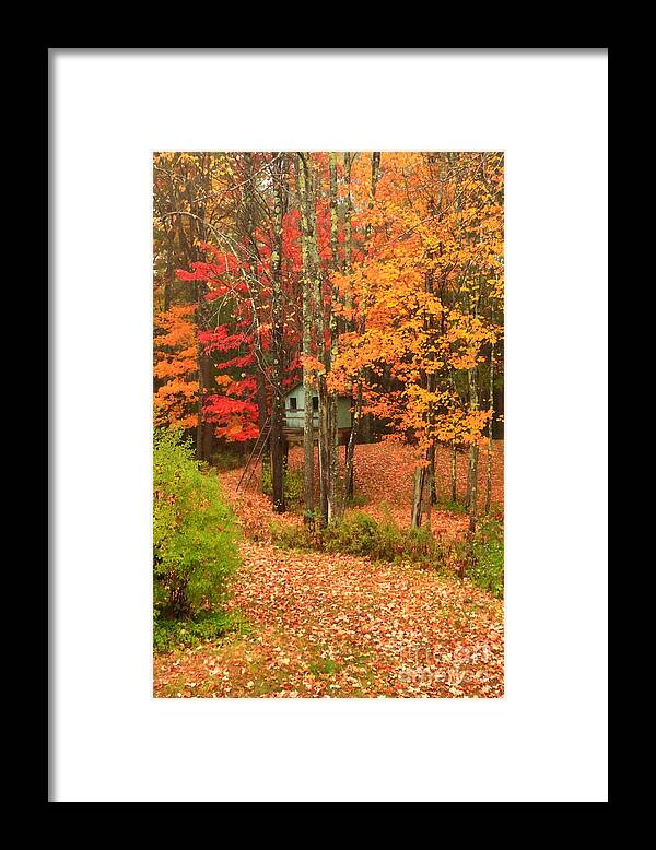 Tree House Framed Print featuring the photograph Dreamy Tree House by Elizabeth Dow