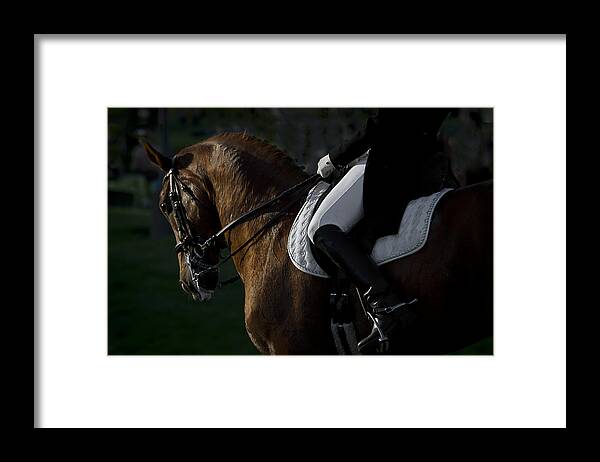 Dressage Framed Print featuring the photograph Dressage by Wes and Dotty Weber