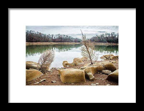 Cherokee Reservoir Framed Print featuring the photograph Dried Shrubs at Cherokee Reservoir by Ryan Ketterer
