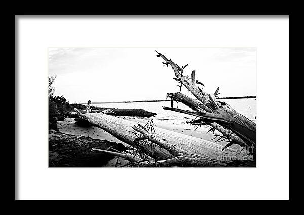 Log Framed Print featuring the painting Drift by Amy Sorrell