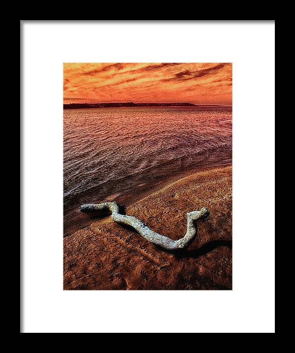 Lake Framed Print featuring the photograph Driftwood 2 by Jim Painter