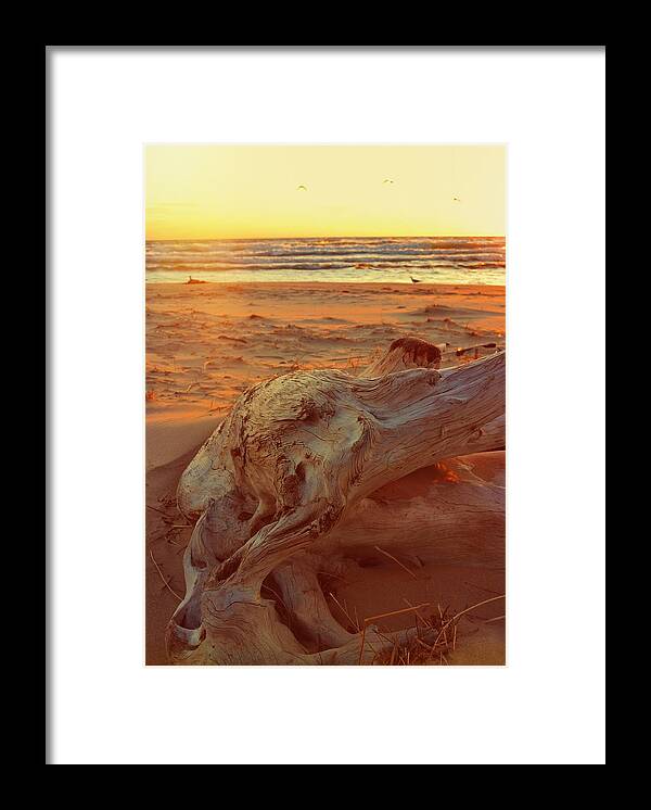 Sunset Framed Print featuring the photograph Driftwood at Sunset by Michelle Calkins