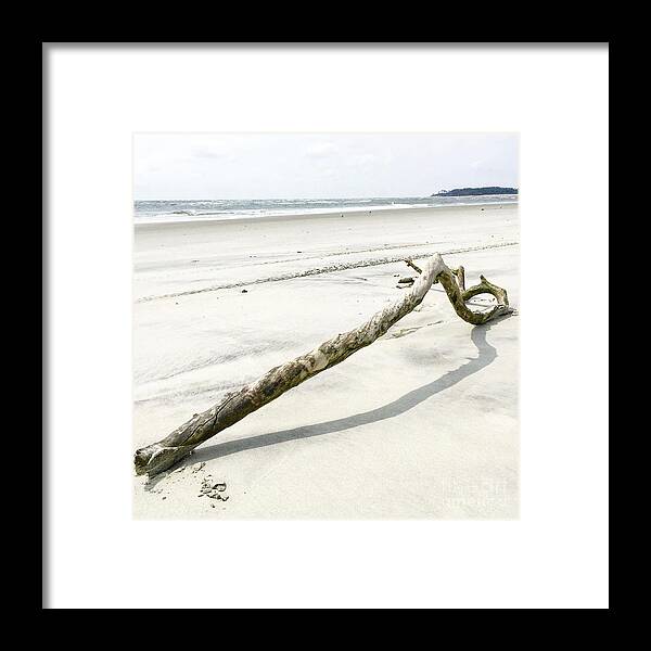 Driftwood Framed Print featuring the photograph Driftwood by Flavia Westerwelle