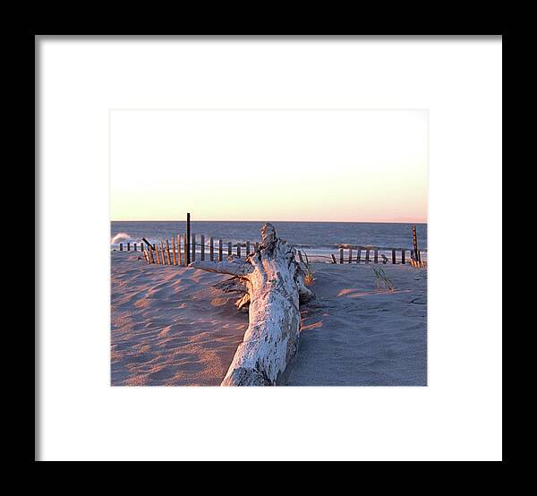 Seas Framed Print featuring the photograph Driftwood I I by Newwwman