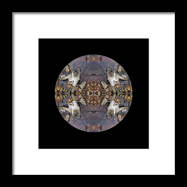 Mandala Framed Print featuring the digital art Driftwood Looking Out For Each Other Kaleidoscope by Julia L Wright