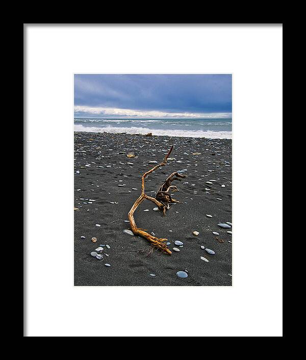 New Zealand Framed Print featuring the photograph Driftwood - Okarito Beach - New Zealand by Steven Ralser