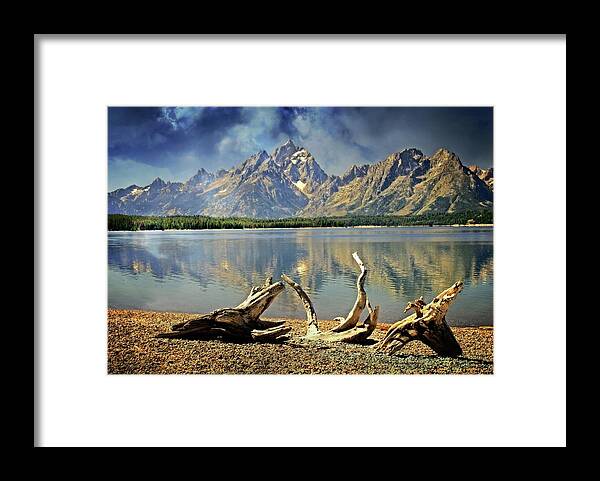 Grand Teton National Park Framed Print featuring the photograph Driftwood on Jackson Lake by Marty Koch