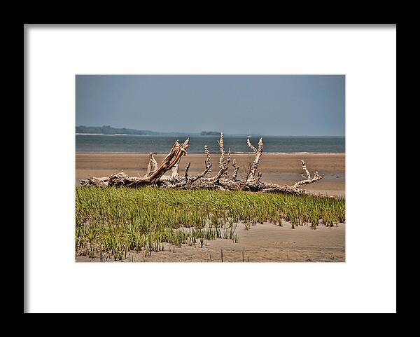 Driftwood Framed Print featuring the photograph Driftwood with Baracles by John Black