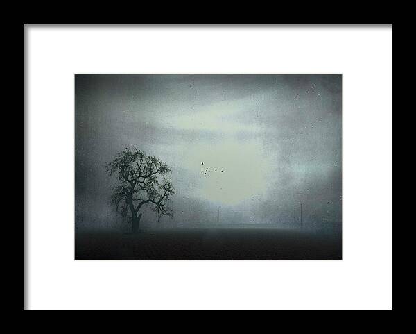 Animal Framed Print featuring the photograph Drizzle by Susan Eileen Evans