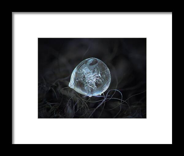 Ice Framed Print featuring the photograph Drop of ice rain by Alexey Kljatov