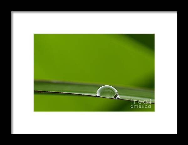 Water Framed Print featuring the photograph Drop of water by Silke Magino
