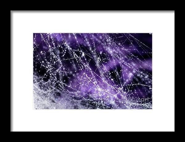Drops Framed Print featuring the photograph Droplets by Mike Eingle